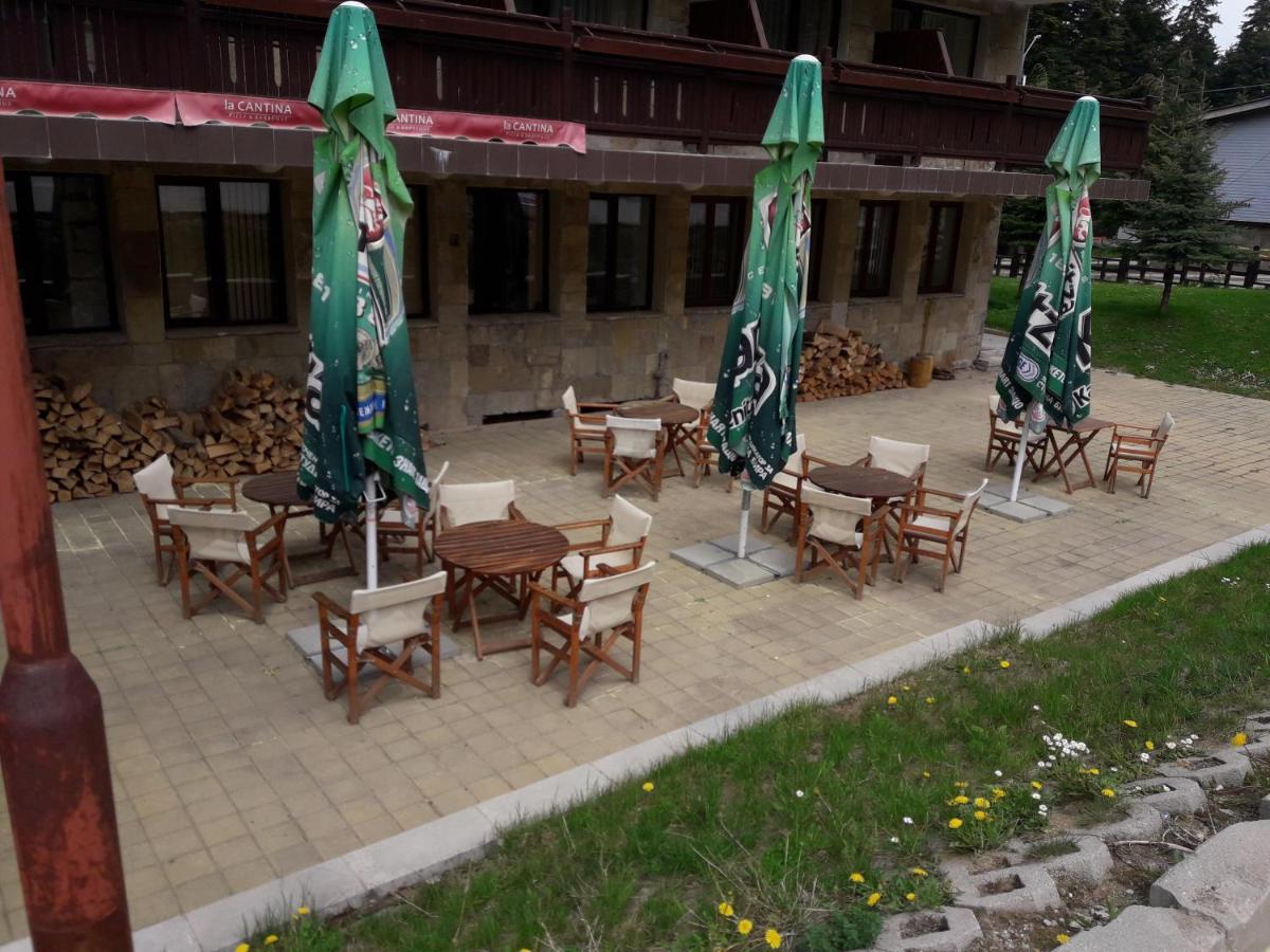 Flora Hotel Studio Boroveț Exterior foto